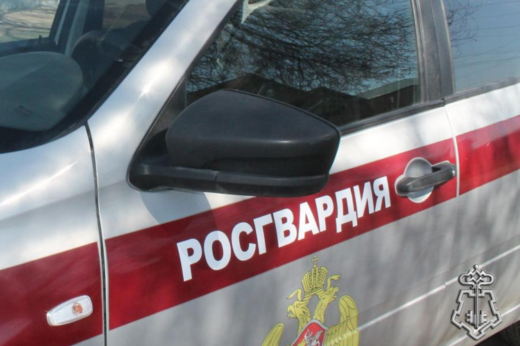 Росгвардейцы задержали молодого человека, подозреваемого в нанесении телесных повреждений посетителю кафе