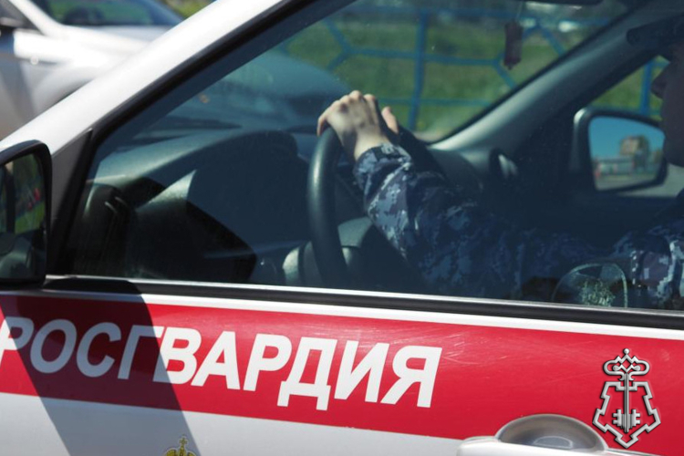  В Оренбурге росгвардейцы задержали несовершеннолетнюю, причастную к серии хищений алкоголя из магазина