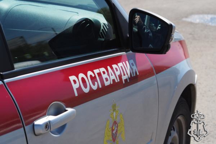 Росгвардейцы задержали двух женщин за хищение товара из магазина в Шарлыке