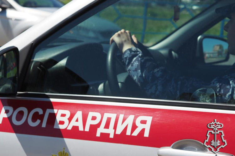 В Бугуруслане росгвардейцы пресекли попытку незаконного изъятия телефона у несовершеннолетней